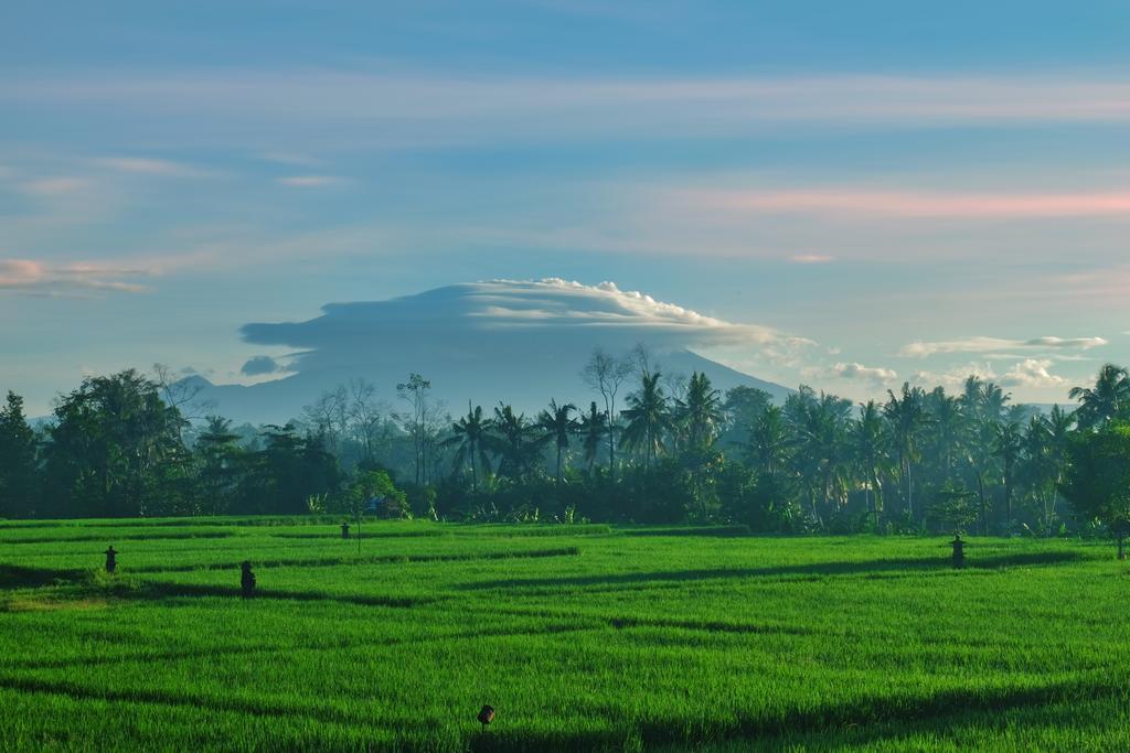 Gasthof Putra