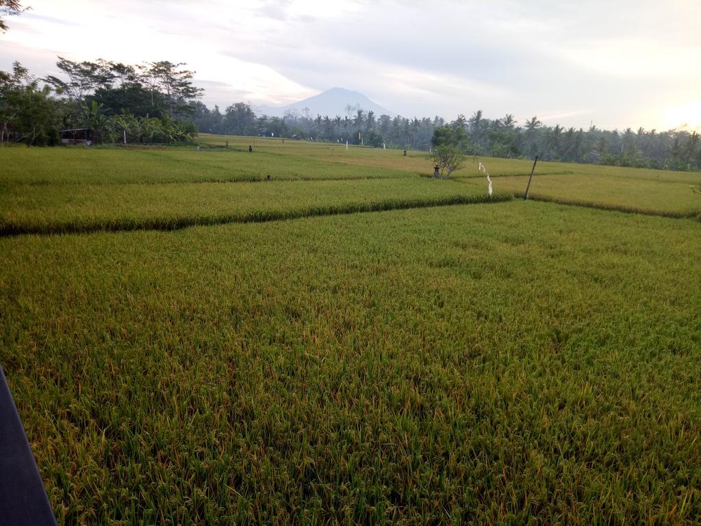 Putra 2*